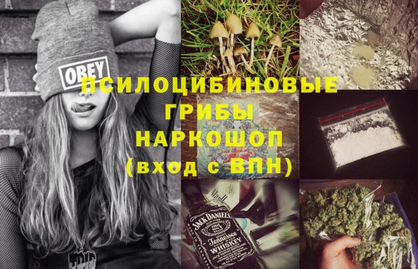 амф Мосальск